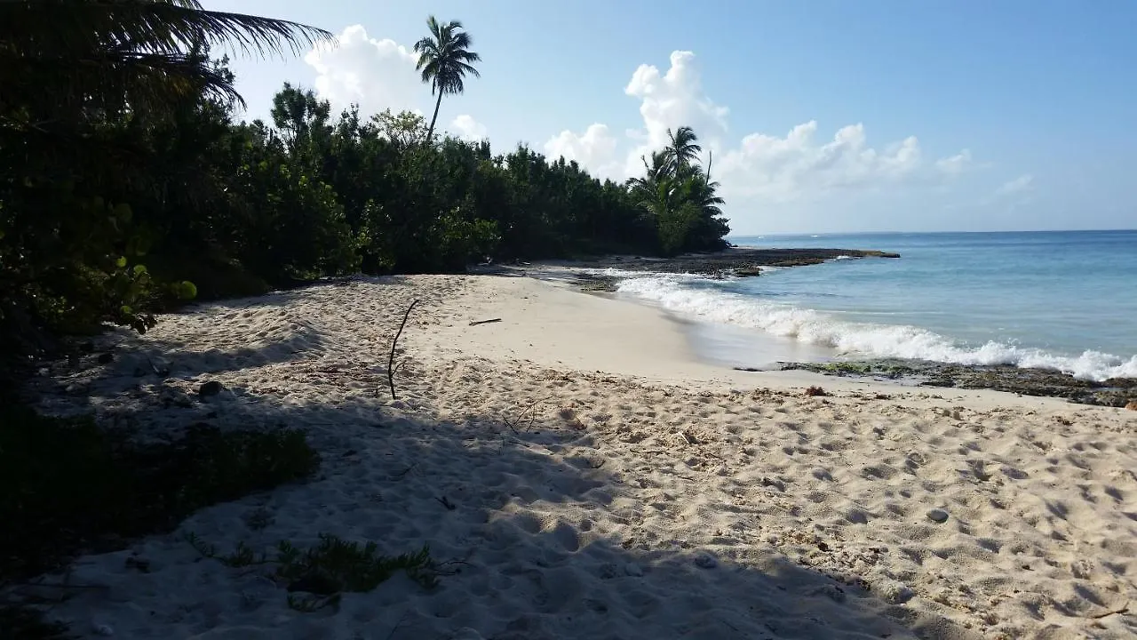 Apartament Palma Real Bayahibe Dominikana